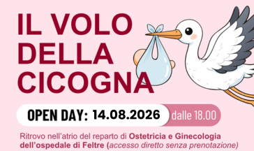 Volo della cicogna agosto