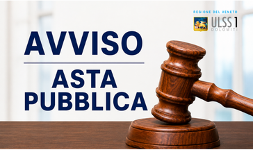 AVVISO ASTA PUBBLICA