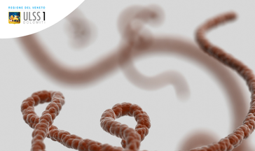 Ebola