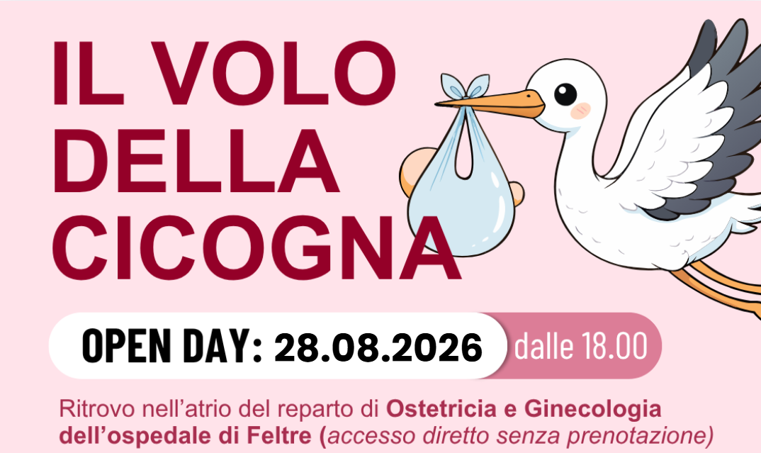 Il volo della cicogna 28 agosto